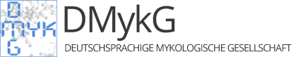 logo-DMykG